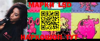 гидропоника Чебоксары