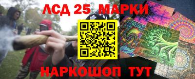 гидропоника Чебоксары
