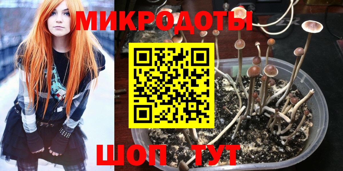 Галлюциногенные грибы MAGIC MUSHROOMS Нововоронеж