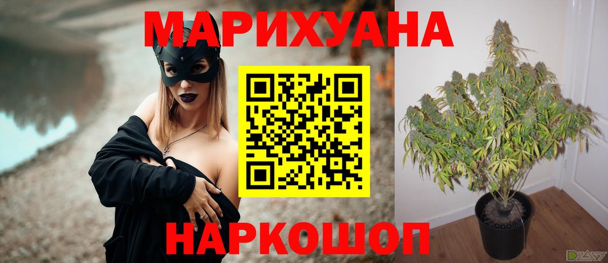 Канабис планчик  Вход с VPN  Марихуана конопля  Бошки Шишки ГИДРОПОН  Бошки Шишки AK-47  Нововоронеж 